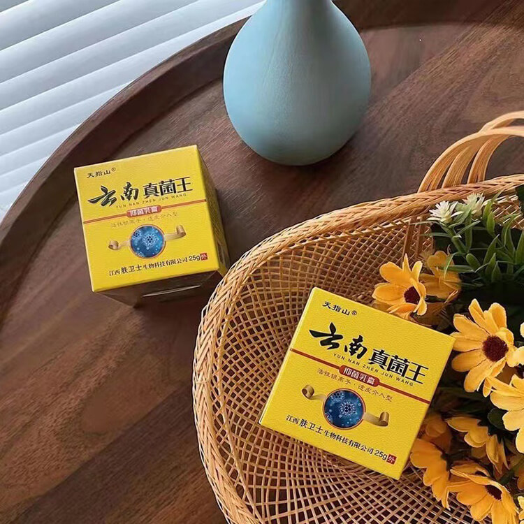雲南真菌王 雲南真菌王